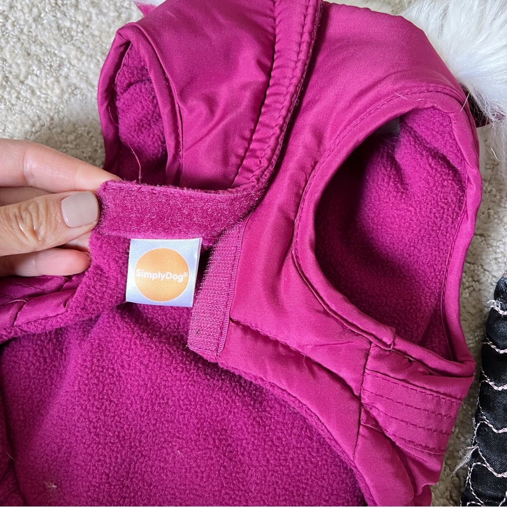 XS Dog Jackets - Picture 4 of 7